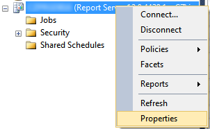SSRS-Enable-Remote-Errors-3